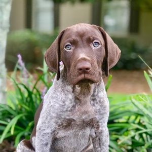 Meet your Posher, Mackenzie